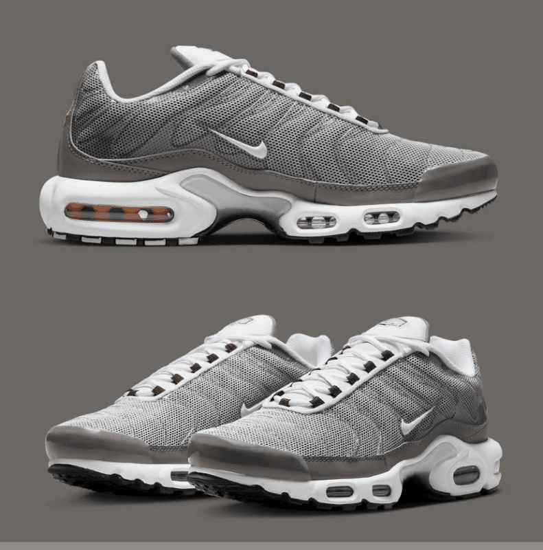 Nike TN Air Max Plus Flat Pewter