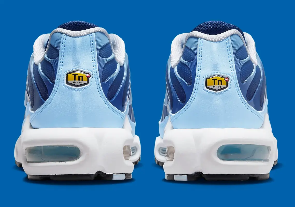 Nike TN Air Max Plus Washes Wave over Blue Gradient