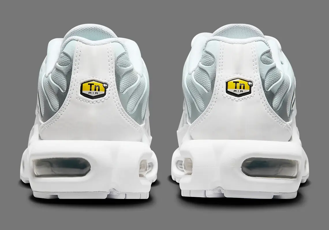 Nike TN Air Max Plus Dazzles In White Silver