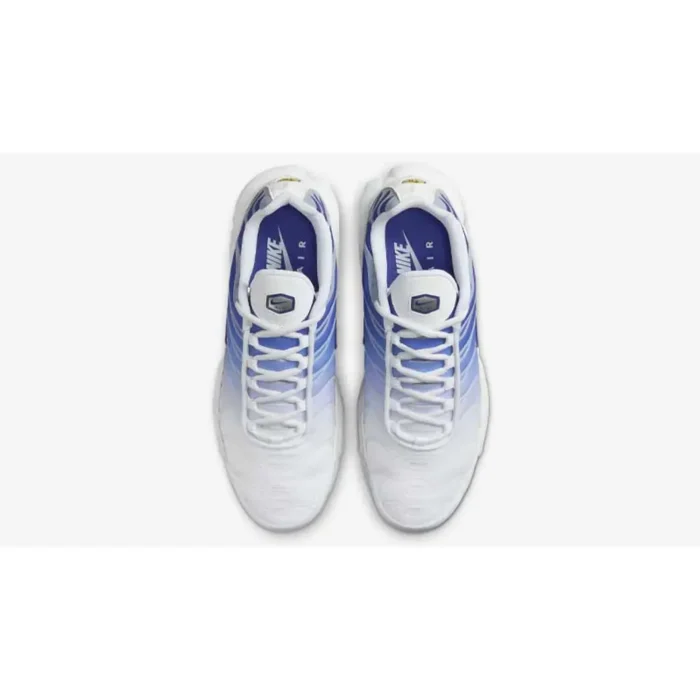 Nike TN Air Max Plus Blue Fade