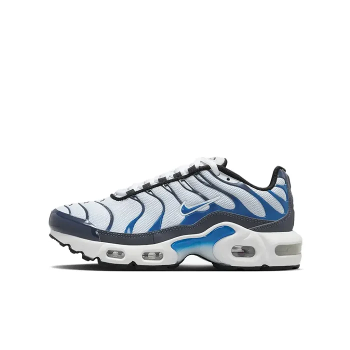 Nike TN Air Max Plus GS Thunder Blue Grey