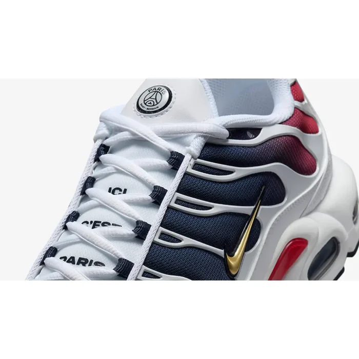 Nike TN Air Max Plus PSG