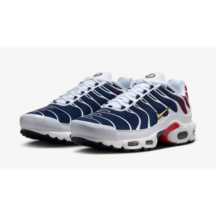 Nike TN Air Max Plus PSG