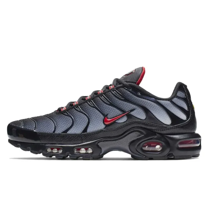 Nike TN Air Max Plus Black Grey