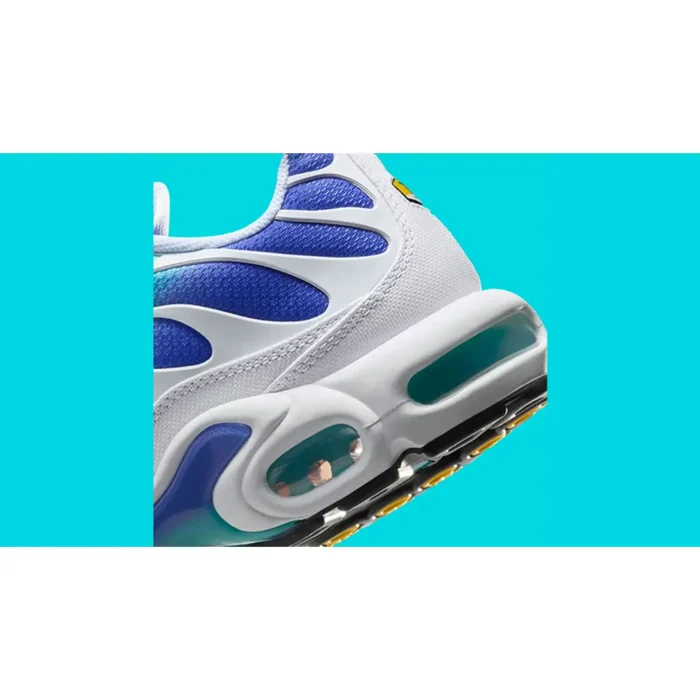 Nike TN Air Max Plus Aqua