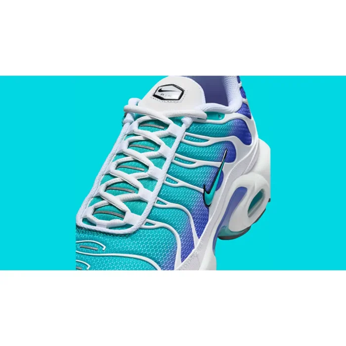 Nike TN Air Max Plus Aqua