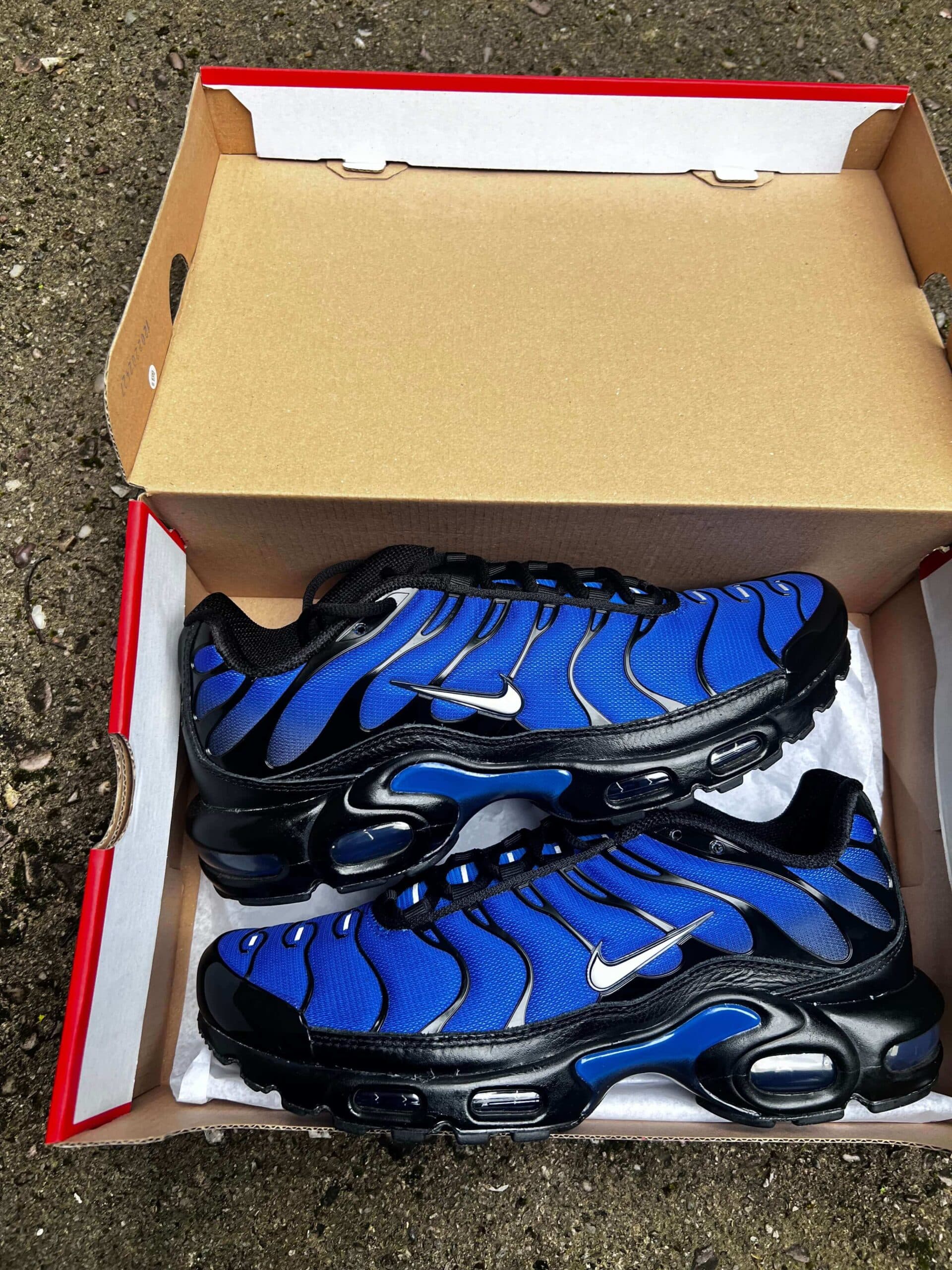 The Best Nike TN Air Max Plus This Year