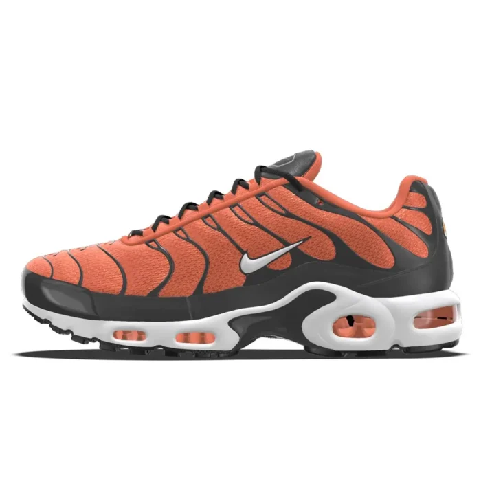 Nike TN Air Max Plus By You