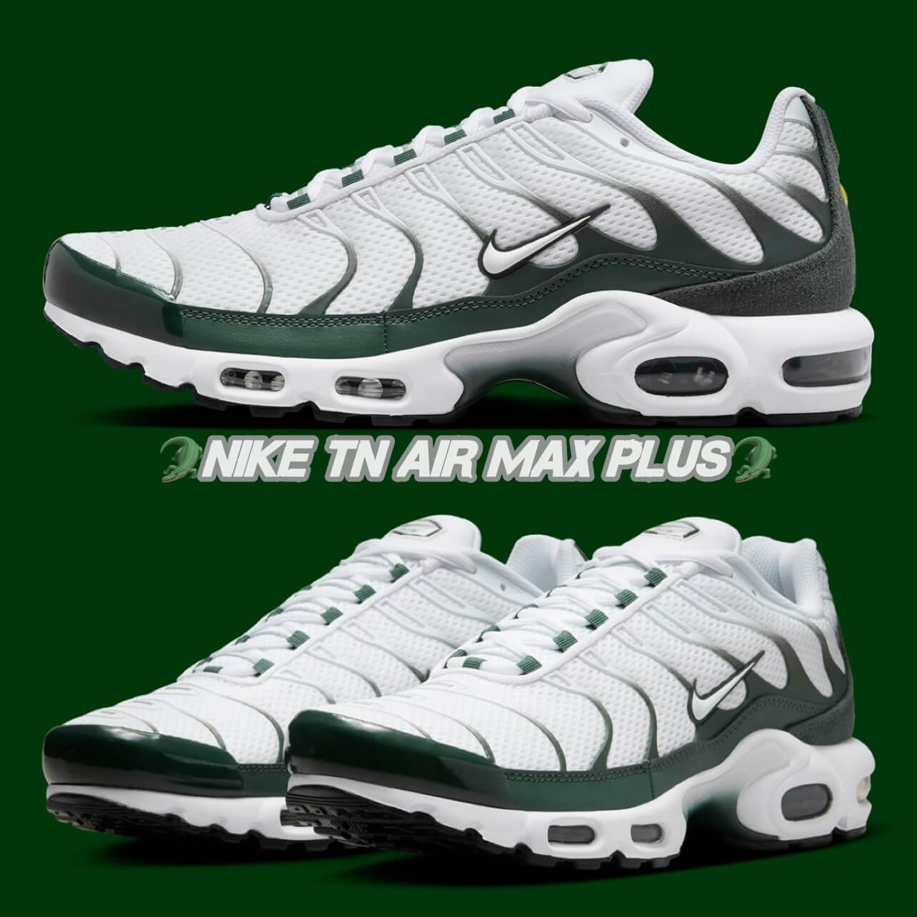 Nike TN Air Max Plus in Lacoste colourways