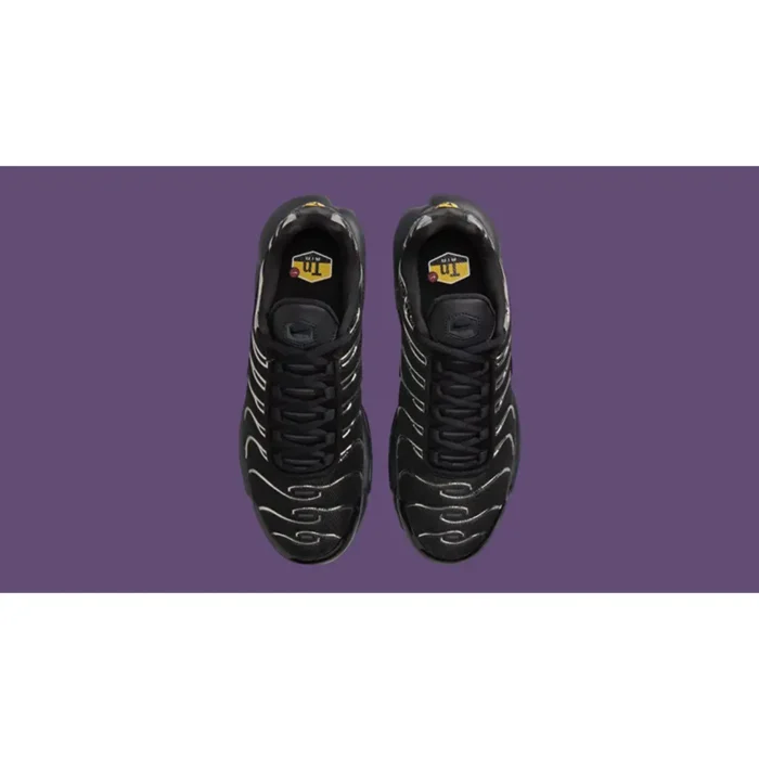 Nike TN Air Max Plus Black Metallic Silver