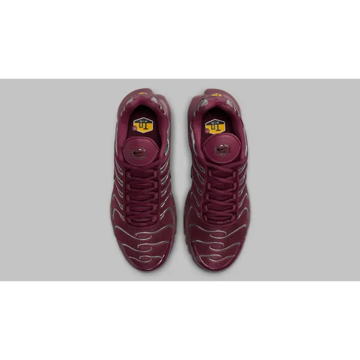 Nike TN Air Max Plus Burgundy Silver