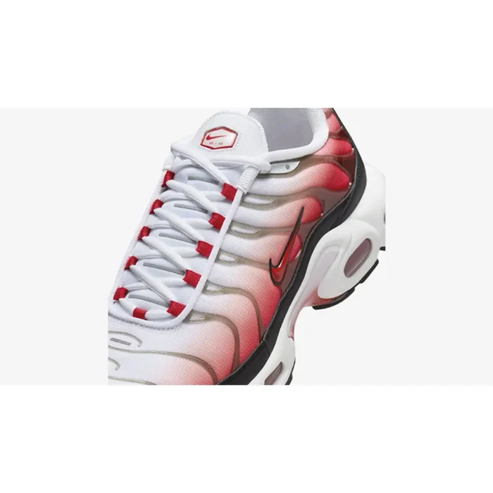 Nike TN Air Max Plus Gym Red