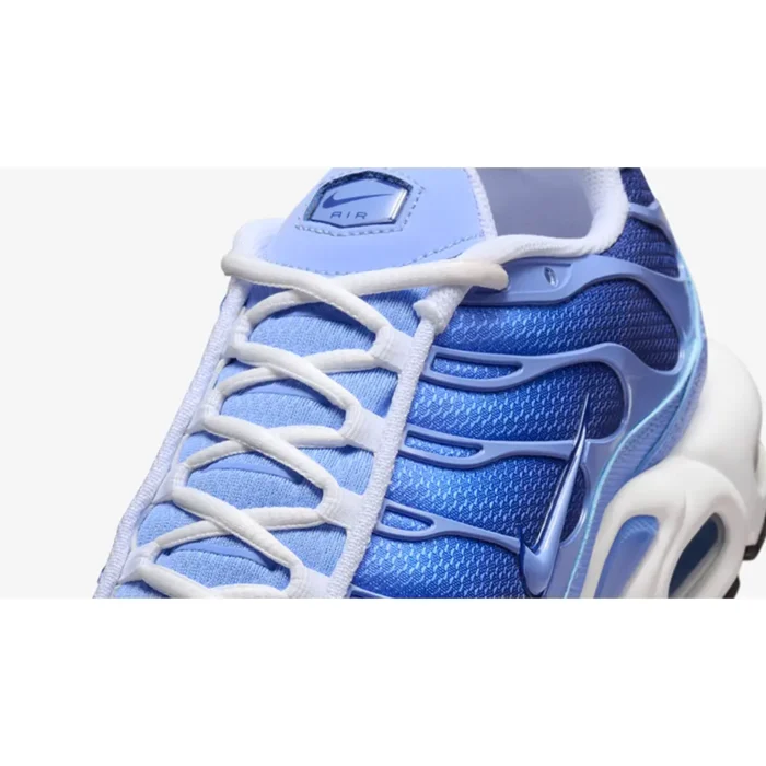 Nike TN Air Max Plus Royal Pulse