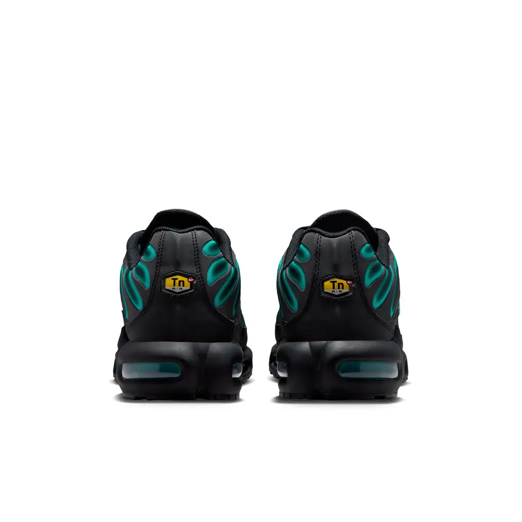 Nike TN Air Max Plus Black Dusty Cactus Nike TN Air Max Plus Black Dusty Cactus